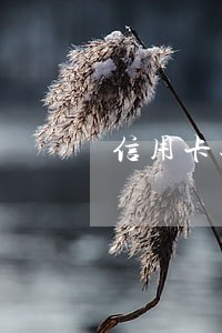 信用卡还不起马上逾期怎么办 信用卡还不起马上逾期怎么办