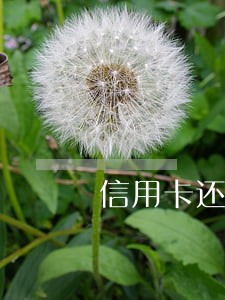 信用卡还了一半算逾期嘛 信用卡还了一半算逾期嘛