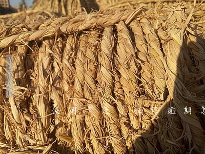 信用卡还了征信逾期怎么消 信用卡还了征信逾期怎么消