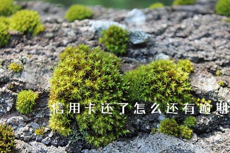 信用卡还了怎么还有逾期短信