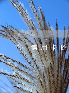 信用卡还了最低算不算逾期 信用卡还了最低算不算逾期