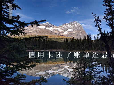 信用卡还了账单还显示逾期