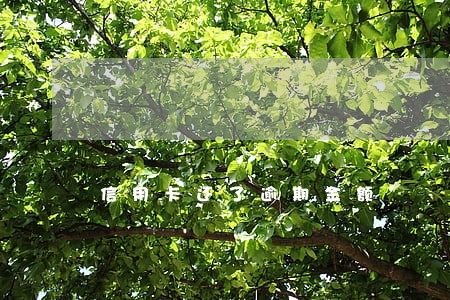 信用卡还了逾期金额