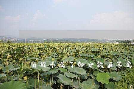 信用卡还了部分款后算逾期吗 信用卡还了部分款后算逾期吗