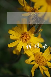 信用卡还到银行销户逾期