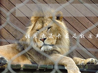 信用卡还卡最迟能逾期几天