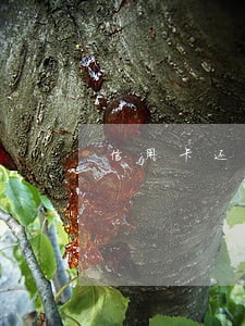 信用卡还卡逾期几天有影响吗
