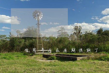 信用卡还在逾期提额了