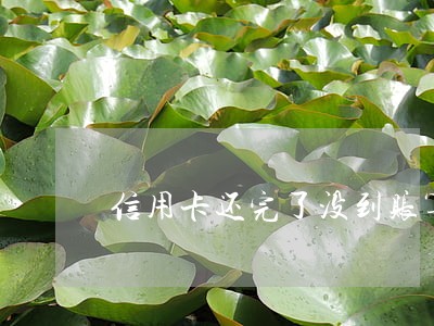 信用卡还完了没到账算逾期吗 信用卡还完了没到账算逾期吗