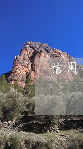 信用卡还完还显示逾期 信用卡还完还显示逾期