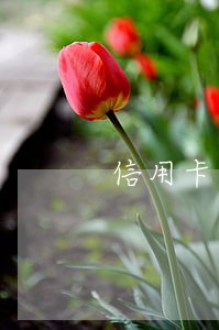 信用卡还完逾期多久消除 信用卡还完逾期多久消除