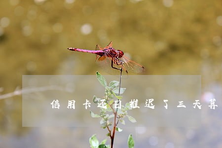信用卡还日推迟了三天算逾期吗 信用卡还日推迟了三天算逾期吗