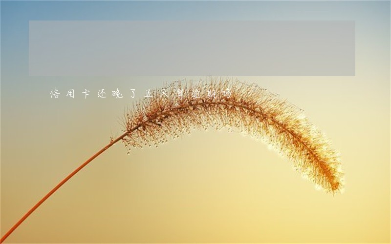 信用卡还晚了五天算逾期吗 信用卡还晚了五天算逾期吗