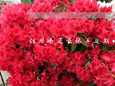 信用卡还最低算逾期嘛 信用卡还最低算逾期嘛