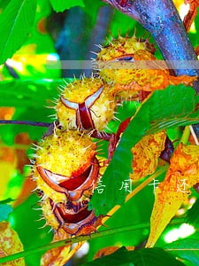 信用卡还最低账单会逾期吗 信用卡还最低账单会逾期吗