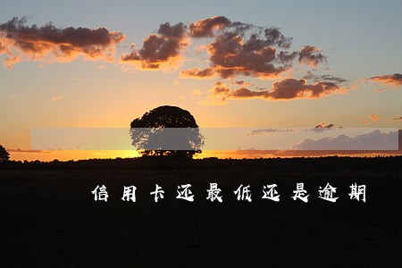 信用卡还最低还是逾期 信用卡还最低还是逾期