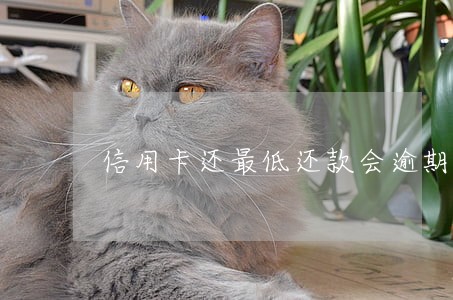 信用卡还最低还款会逾期吗 信用卡还最低还款会逾期吗