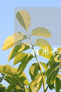 信用卡还最低还款后逾期多少利息 信用卡还最低还款后逾期多少利息