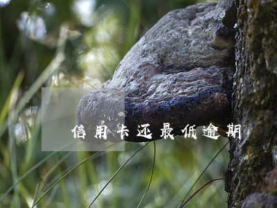信用卡还最低逾期 信用卡还最低逾期