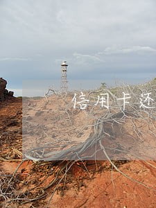 信用卡还最底还款是逾期吗 信用卡还最底还款是逾期吗