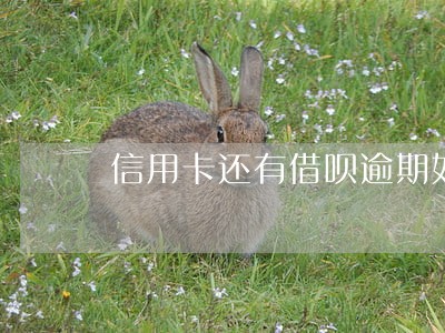 信用卡还有借呗逾期如何处理 信用卡还有借呗逾期如何处理