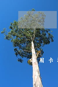 信用卡还有网贷逾期好几年了