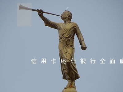 信用卡还有银行全面逾期 信用卡还有银行全面逾期