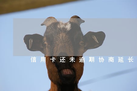信用卡还未逾期协商延长分期