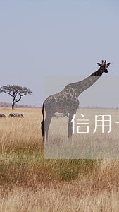 信用卡还款一次逾期一天 信用卡还款一次逾期一天