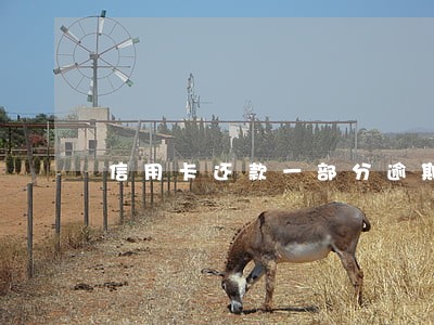 信用卡还款一部分逾期