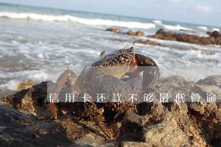 信用卡还款不够最低算逾期吗 信用卡还款不够最低算逾期吗