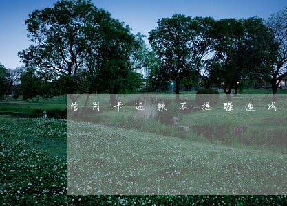 信用卡还款不提醒造成逾期