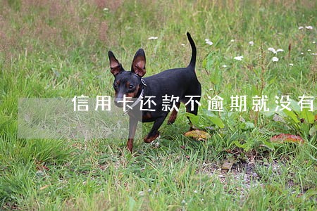 信用卡还款不逾期就没有利息 信用卡还款不逾期就没有利息