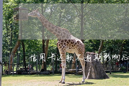信用卡还款不逾期影响征信吗 信用卡还款不逾期影响征信吗