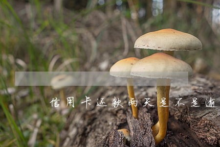 信用卡还款两天是不是逾期 信用卡还款两天是不是逾期