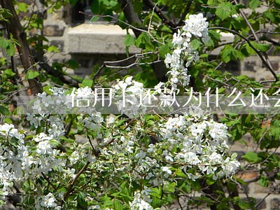 信用卡还款为什么还会逾期记录 信用卡还款为什么还会逾期记录