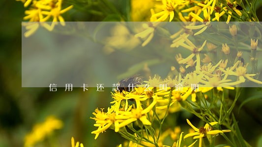 信用卡还款什么叫逾期 信用卡还款什么叫逾期