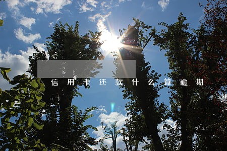 信用卡还款什么算逾期 信用卡还款什么算逾期