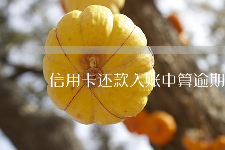信用卡还款入账中算逾期吗