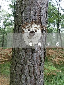 信用卡还款入账算逾期吗