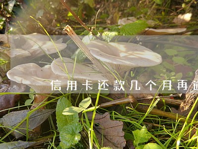 信用卡还款几个月再逾期 信用卡还款几个月再逾期