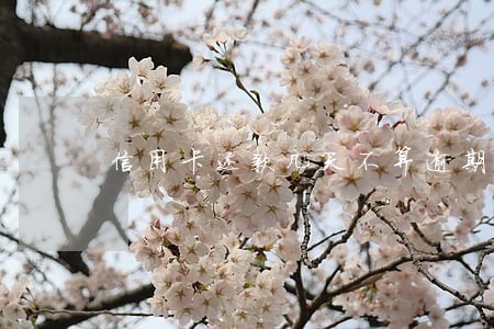 信用卡还款几天不算逾期