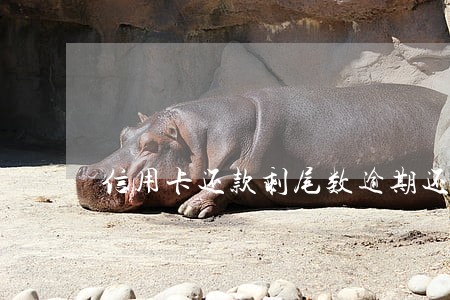 信用卡还款剩尾数逾期还 信用卡还款剩尾数逾期还