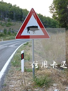 信用卡还款可以逾期吗