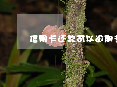 信用卡还款可以逾期多少天 信用卡还款可以逾期多少天