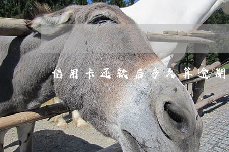 信用卡还款后多久算逾期 信用卡还款后多久算逾期