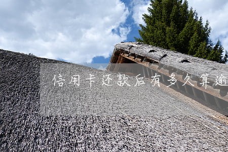 信用卡还款后有多久算逾期 信用卡还款后有多久算逾期