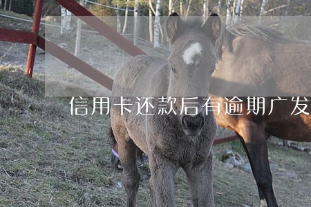 信用卡还款后有逾期广发