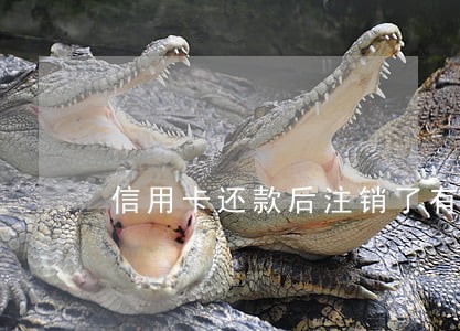 信用卡还款后注销了有过逾期 信用卡还款后注销了有过逾期