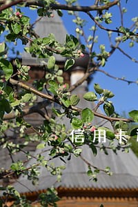信用卡还款后逾期几天会上征信 信用卡还款后逾期几天会上征信